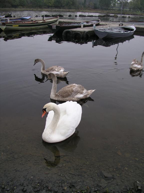 Lakeland Midsummer Lakehouse Oughterard Exteriér fotografie